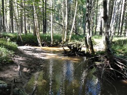 Naturschutzgebiet Obernach
