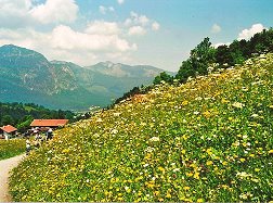 Wandern am Eckbauer