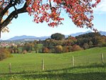 Ausblick vom Grillplatz